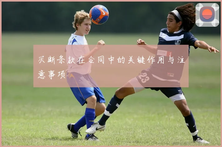 买断条款在合同中的关键作用与注意事项